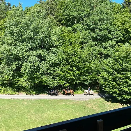 Na Kraji Lesa