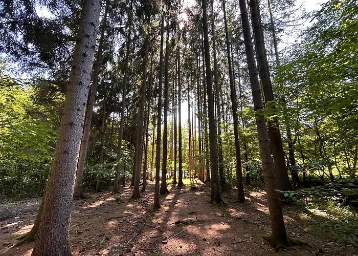 Na Kraji Lesa *
